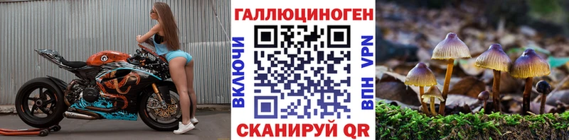 Галлюциногенные грибы GOLDEN TEACHER  продажа наркотиков  Звенигород 