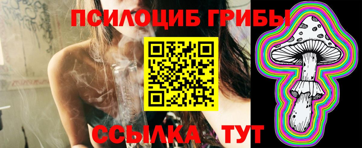  COCAIN Звенигород
