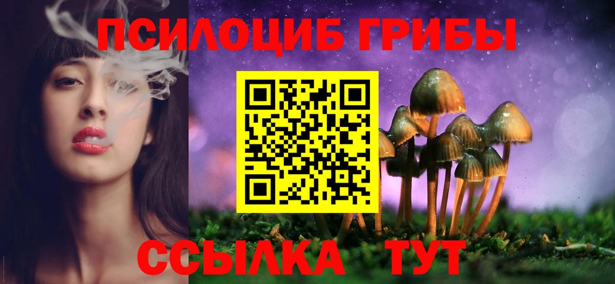 дарнет шоп  Псилоцибиновые грибы Magic Shrooms  Вход с VPN  Галлюциногенные грибы Magic Shrooms  Звенигород 