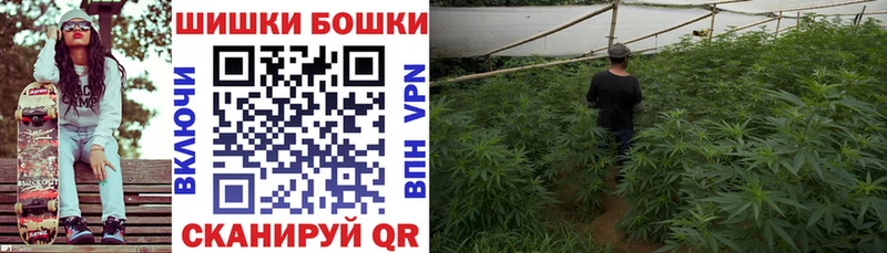 Бошки марихуана OG Kush  Звенигород 